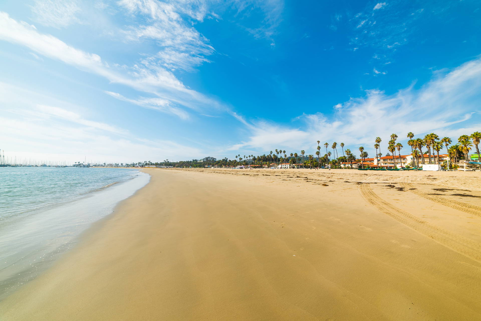 Plaża w Santa Barbara ze złotym piaskiem, palmami i błękitnym niebem.