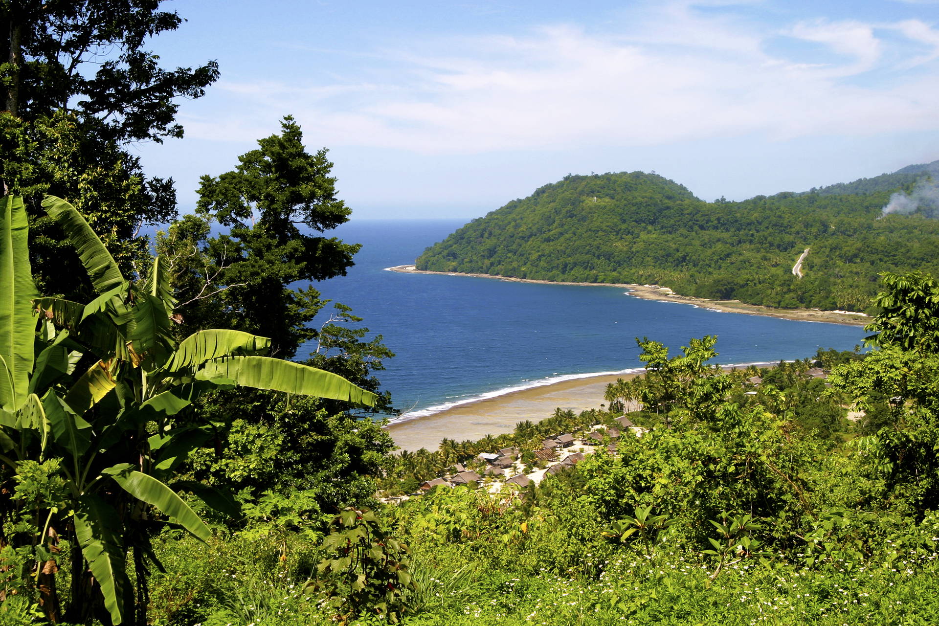 Plaża i zatoka z bujną roślinnością w tle.