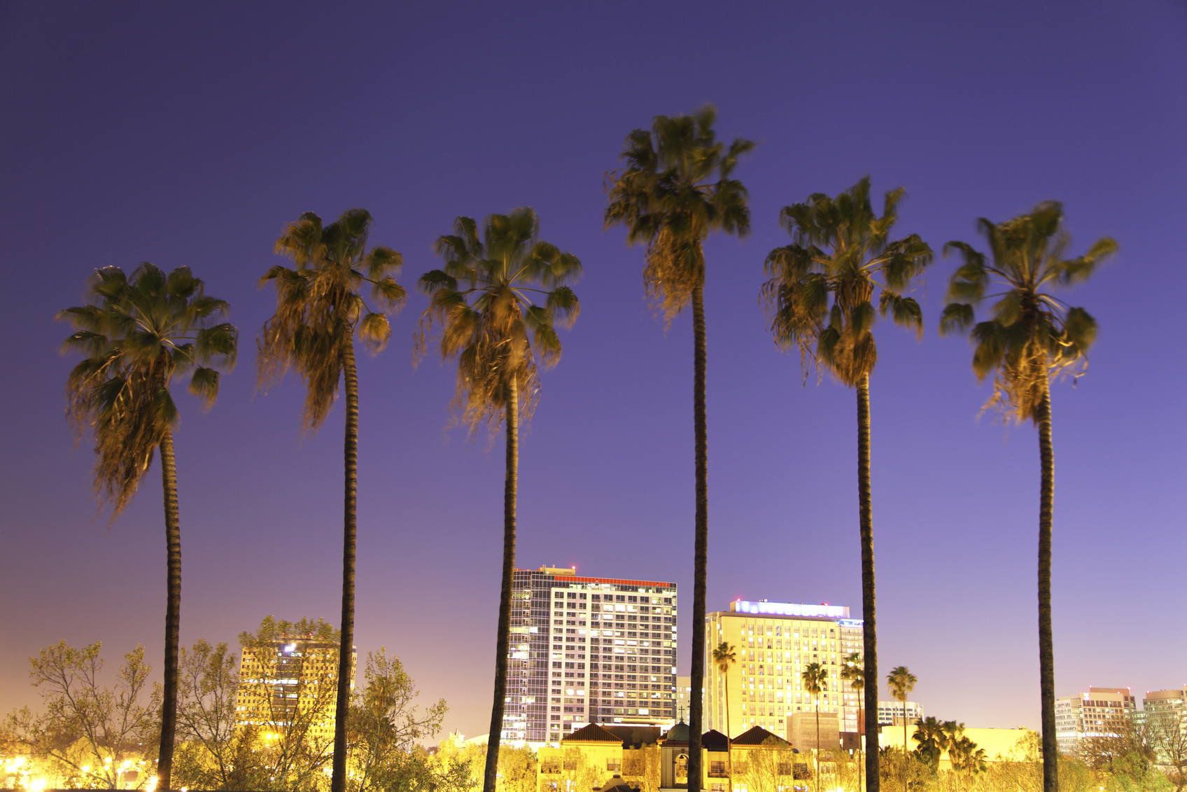 Nocna panorama miasta z palmami.