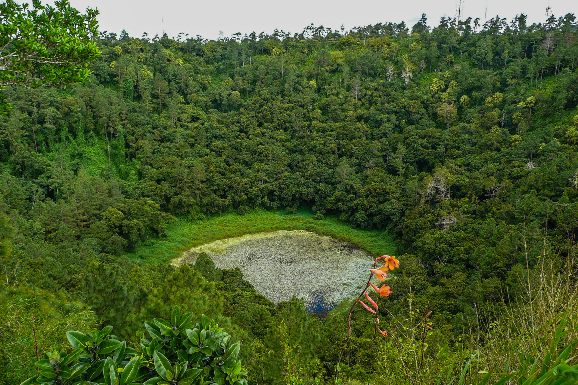 Widok z góry na porośnięty roślinnością Trou aux Cerfs, wygasły krater wulkaniczny.