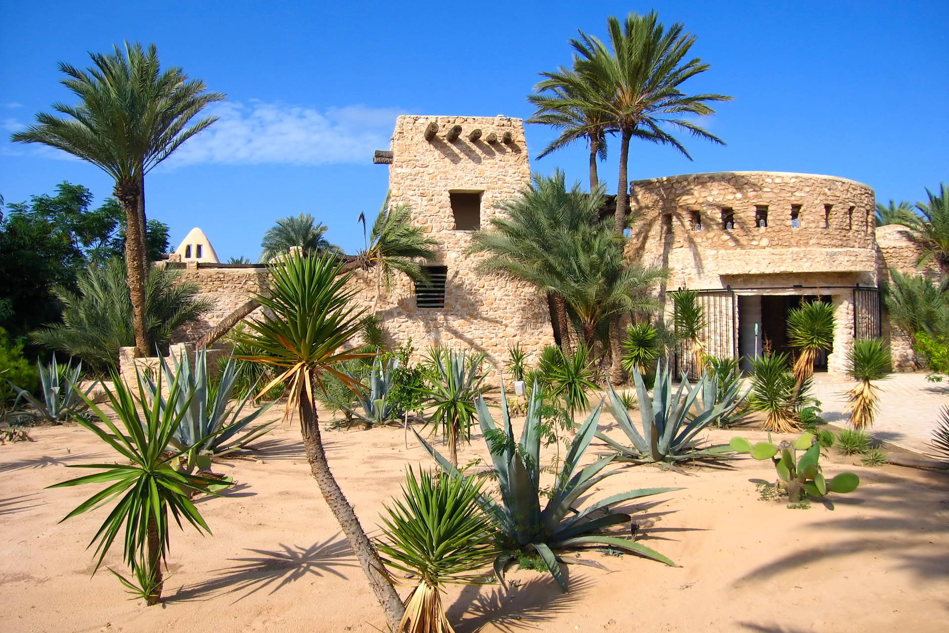 Kamienny budynek na pustyni, otoczony palmami i kaktusami.