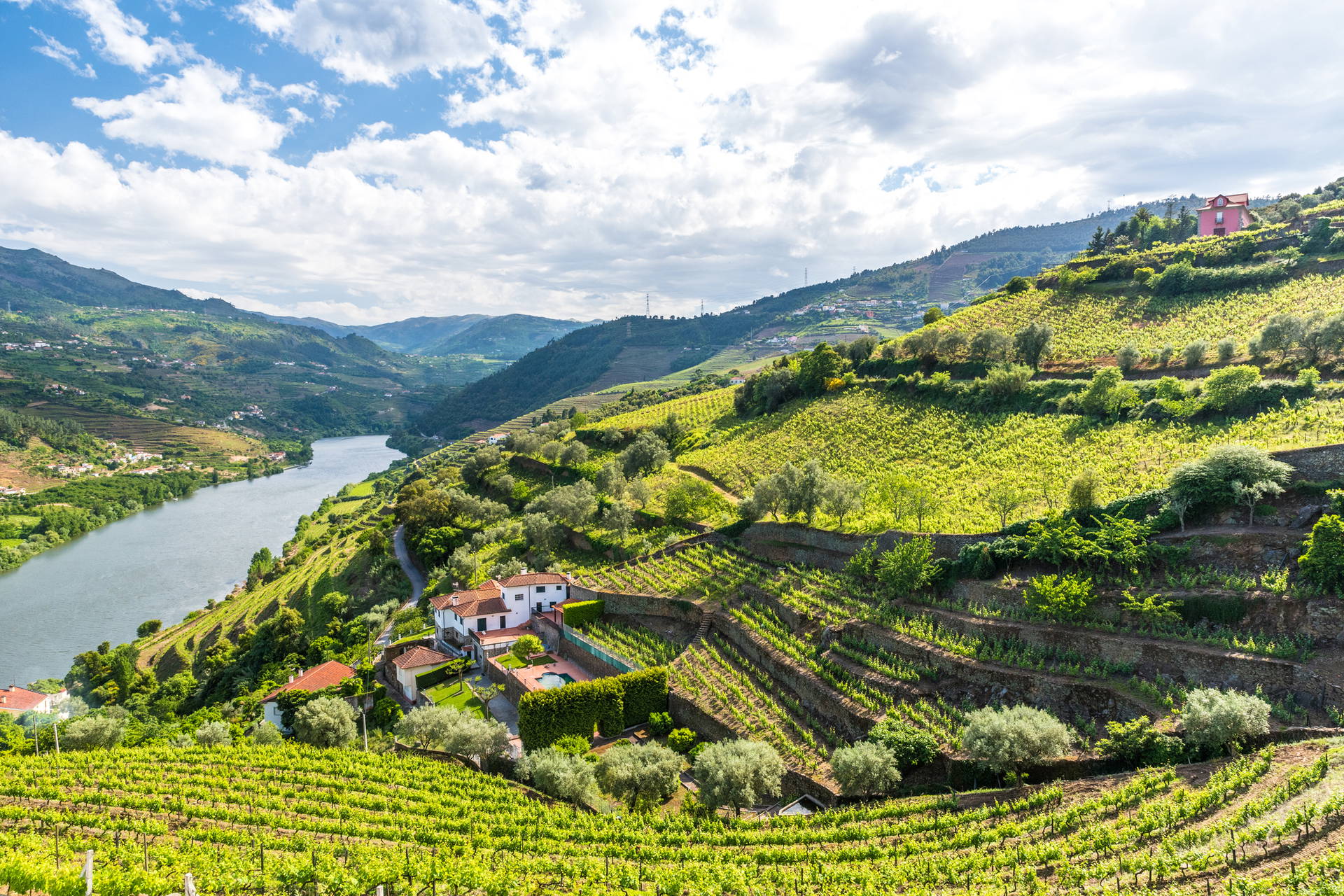 Dolina rzeki Douro w Portugalii z winnicami na zboczach wzgórz.