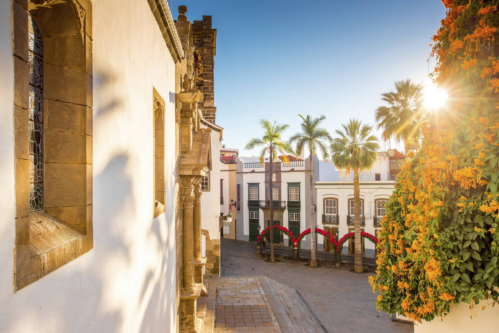Plac z palmami i budynkami w Santa Cruz de la Palma.