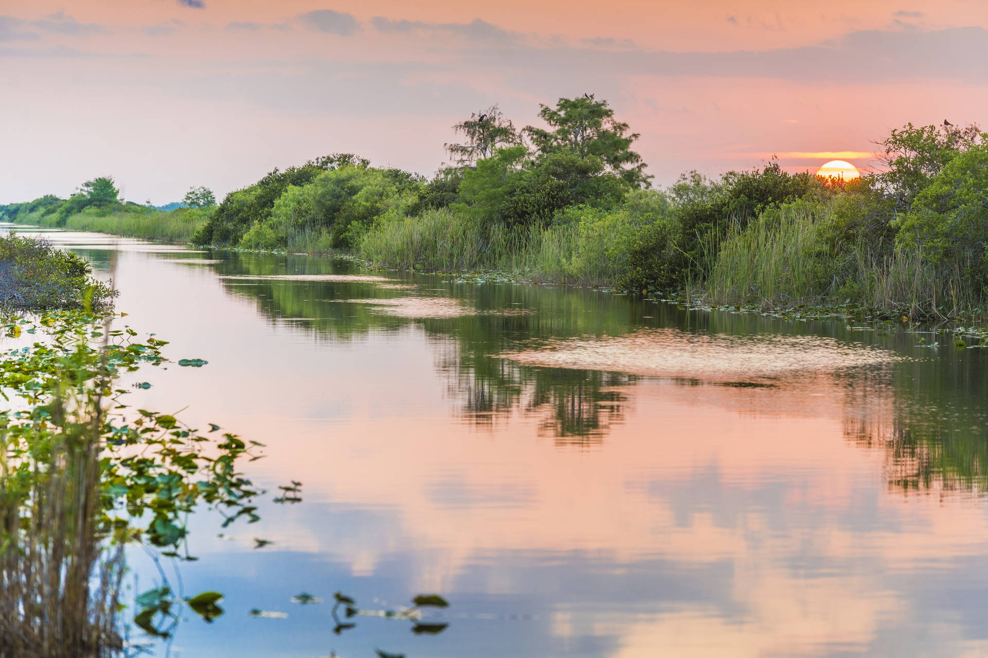 Spokojne wody Everglades odbijają niebo o zachodzie słońca.