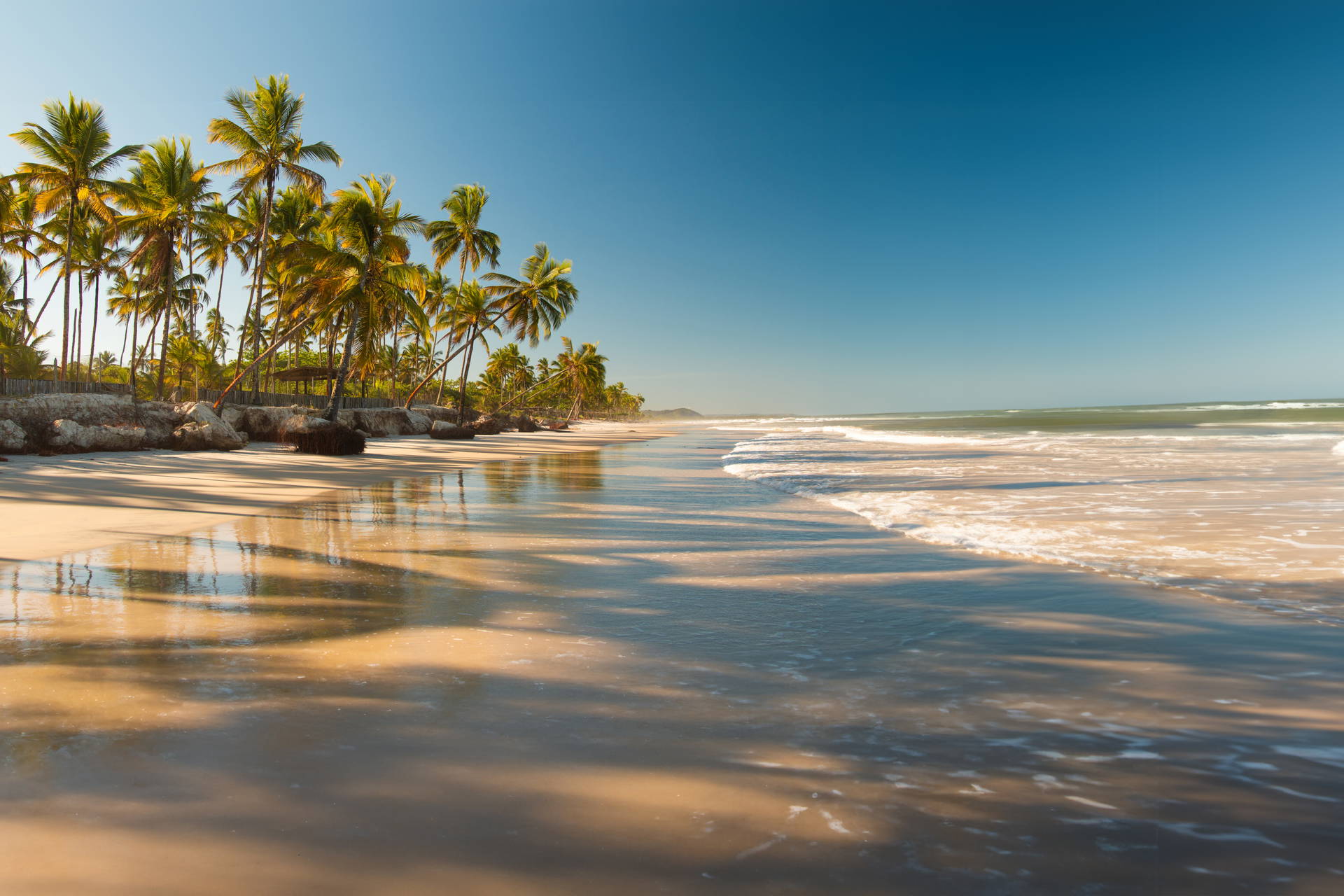 Piaszczysta plaża z palmami i falami oceanu.