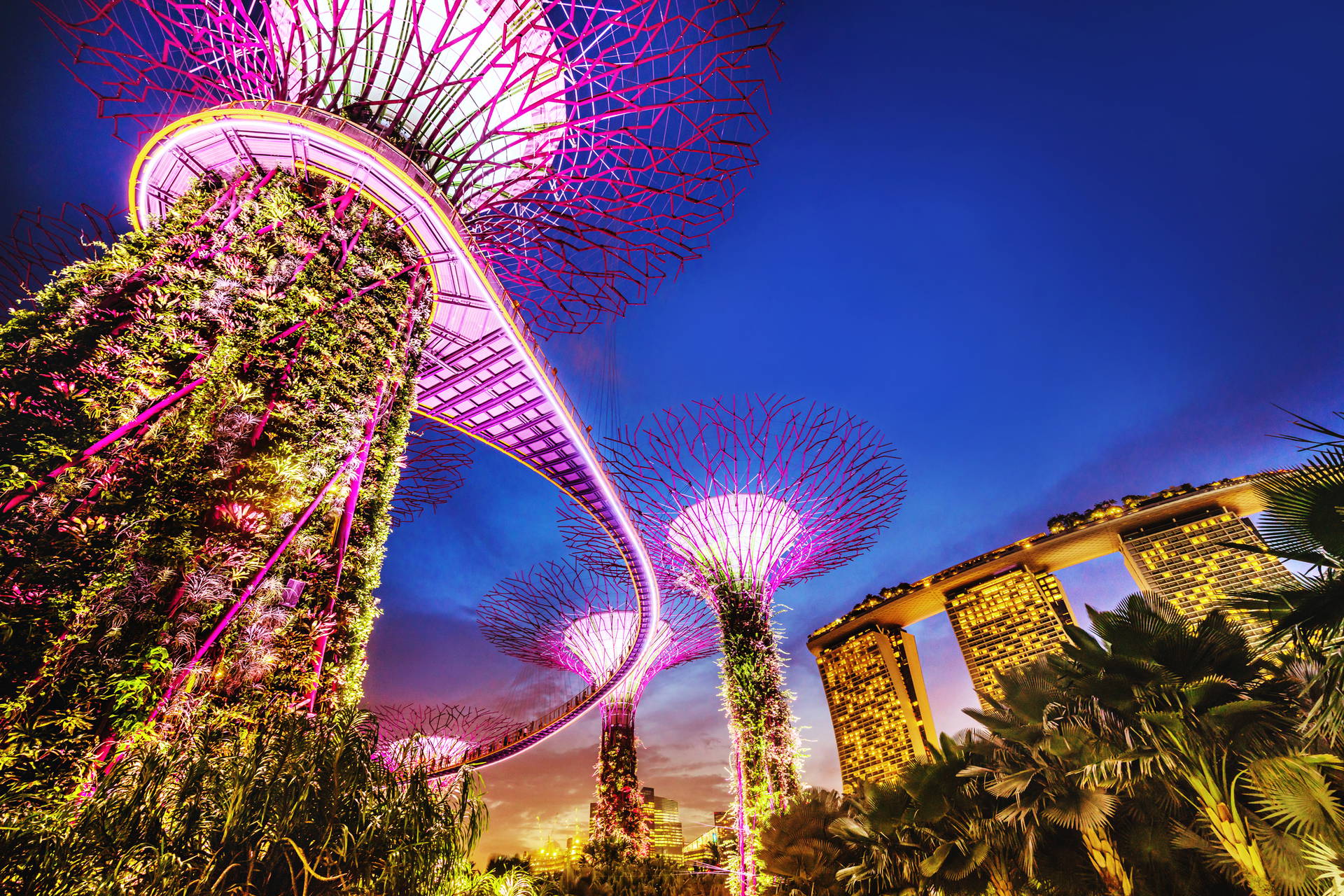 Gardens by the Bay w Singapurze oświetlone nocą.