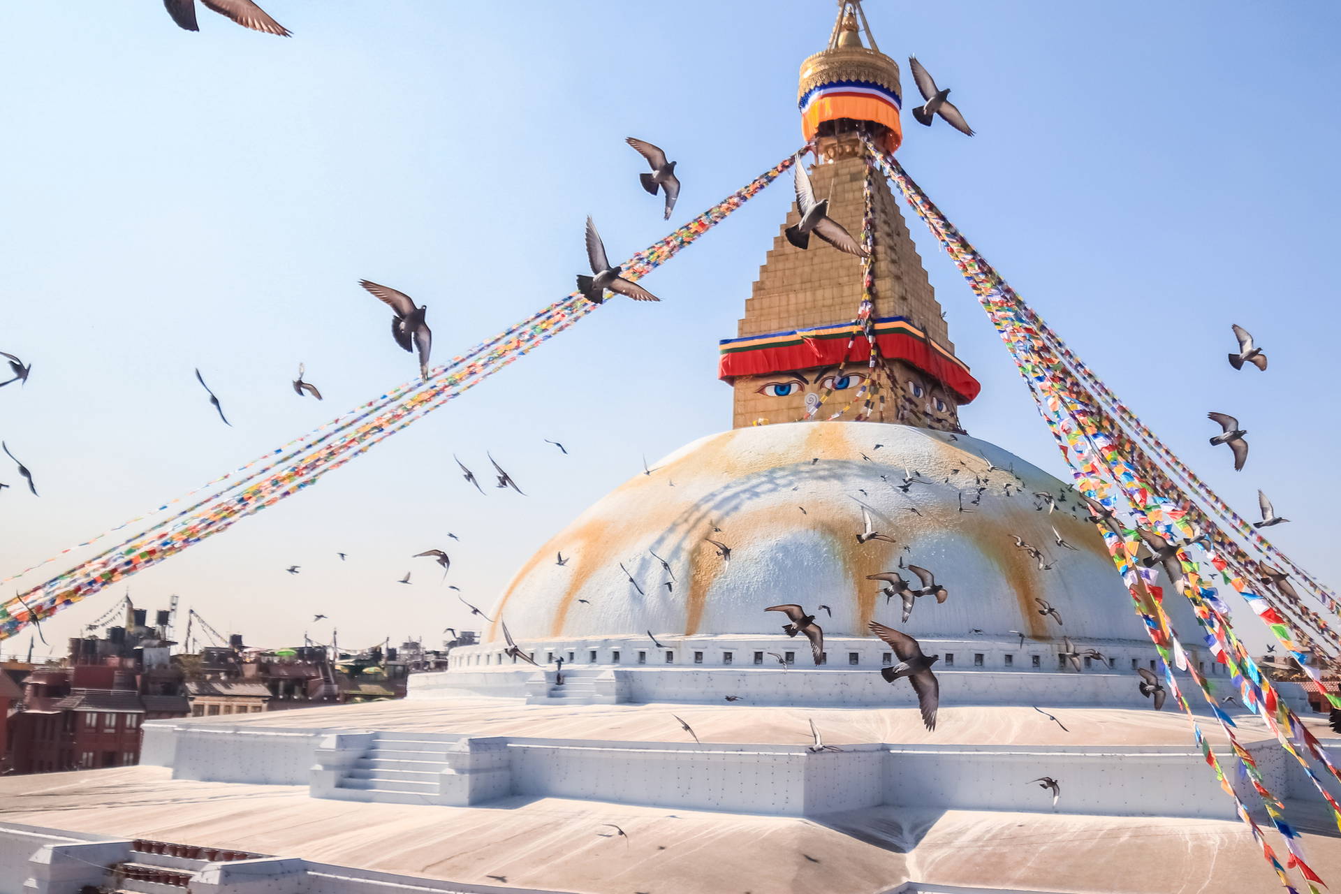 Stupa Boudhanath w Katmandu z licznymi ptakami.