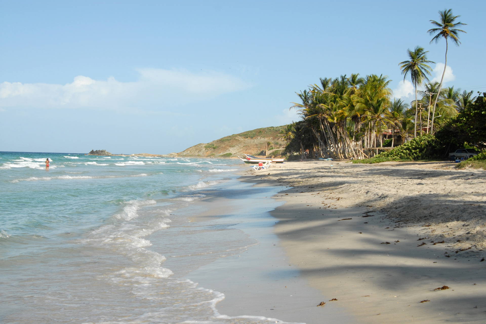 Plaża z palmami.