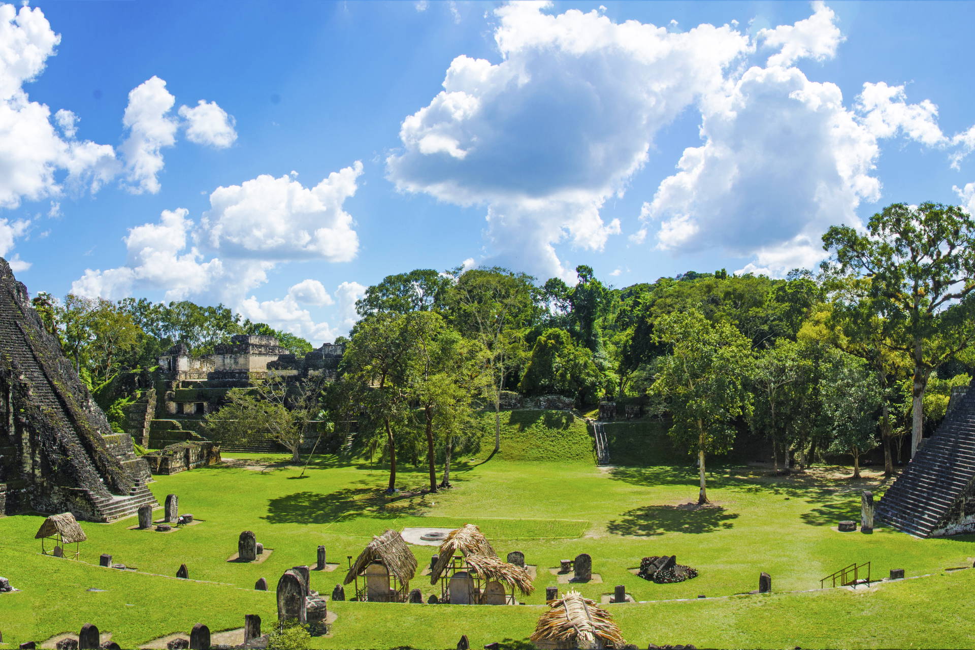 Panorama ruin Tikal w Gwatemali. W tle widoczne niebo.