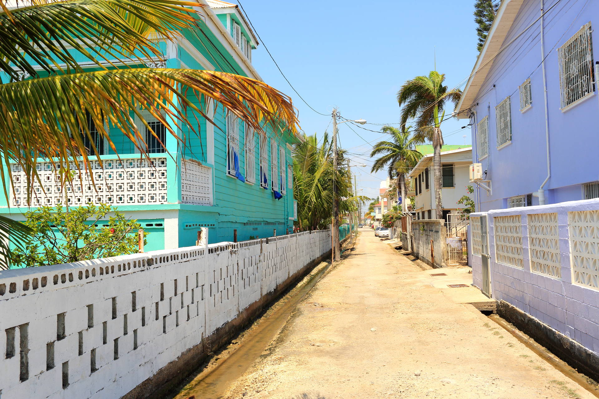 Ulica w San Pedro, Belize z kolorowymi domami i palmami.
