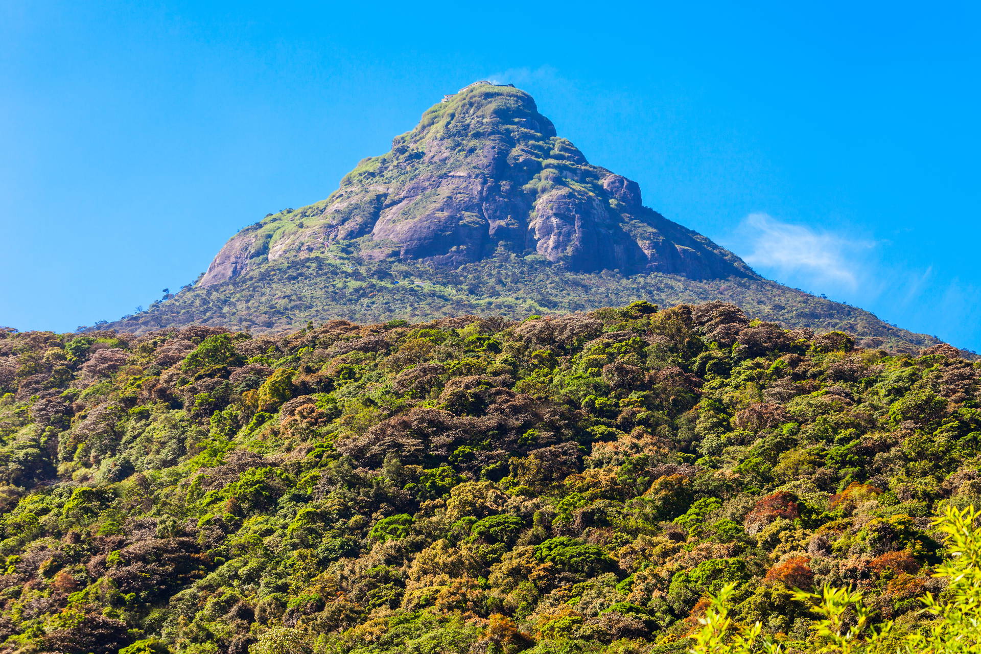 Góra Adam's Peak porośnięta lasem, Sri Lanka.