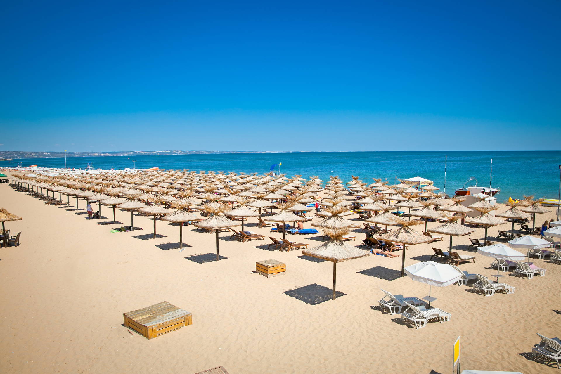 Plaża ze słomianymi parasolami i leżakami.