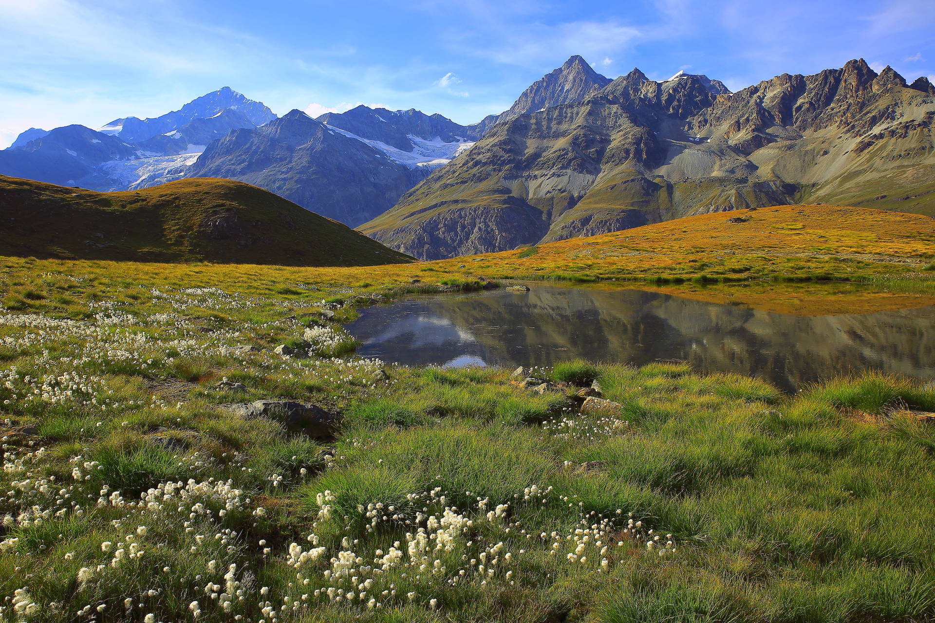 Górski krajobraz z jeziorem i łąką.