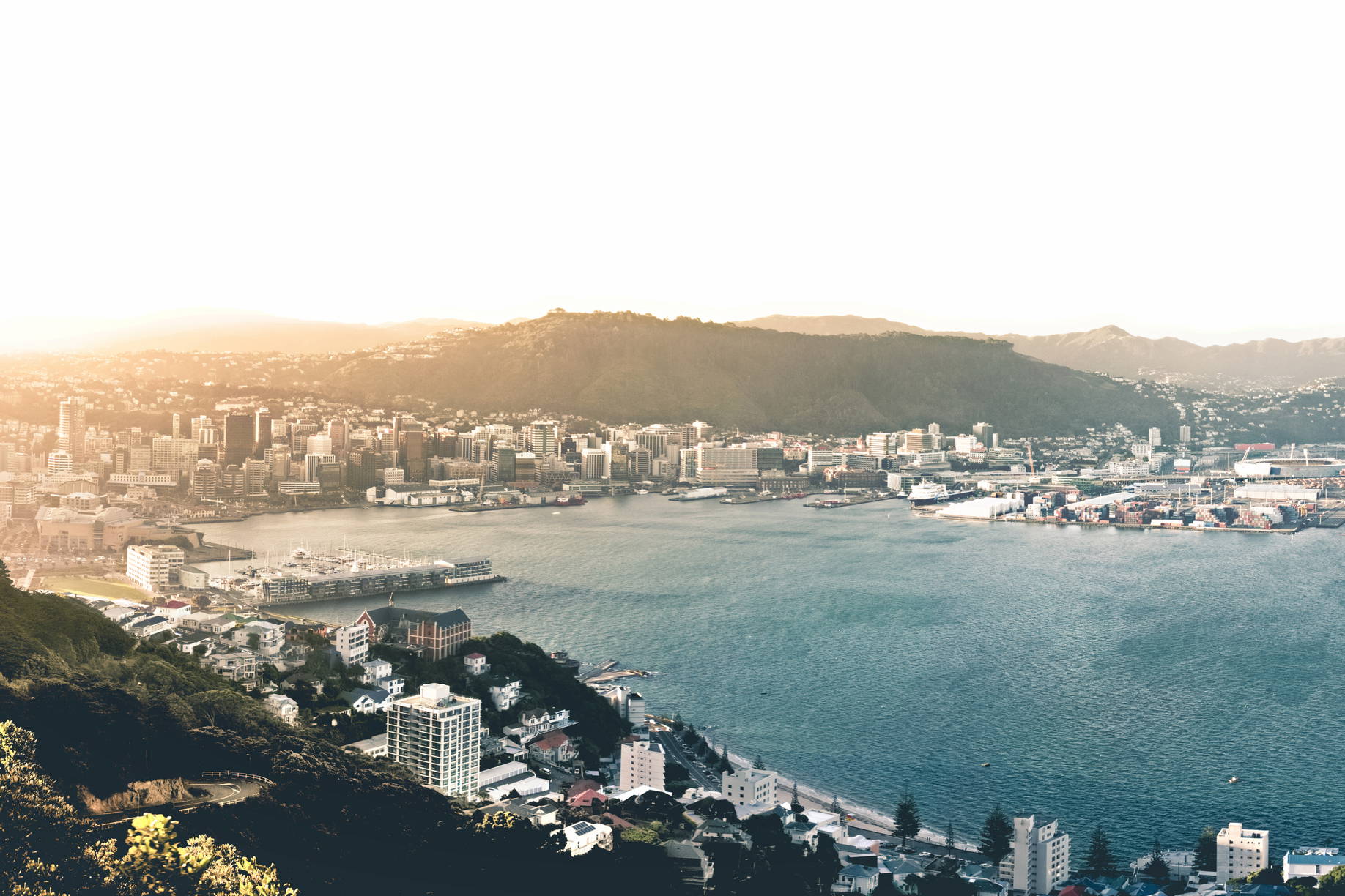 Panorama Wellington w Nowej Zelandii z lotu ptaka.