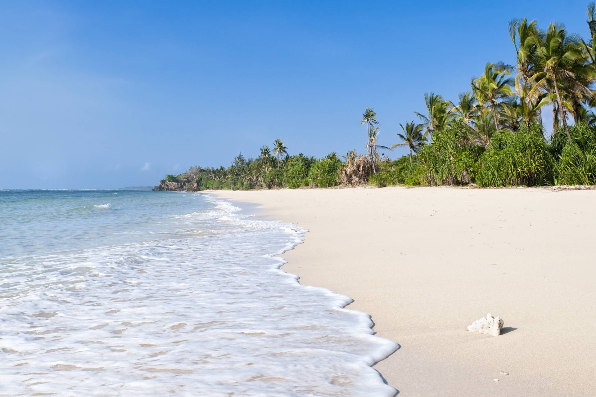 Biała plaża z palmami i błękitnym niebem w tle.