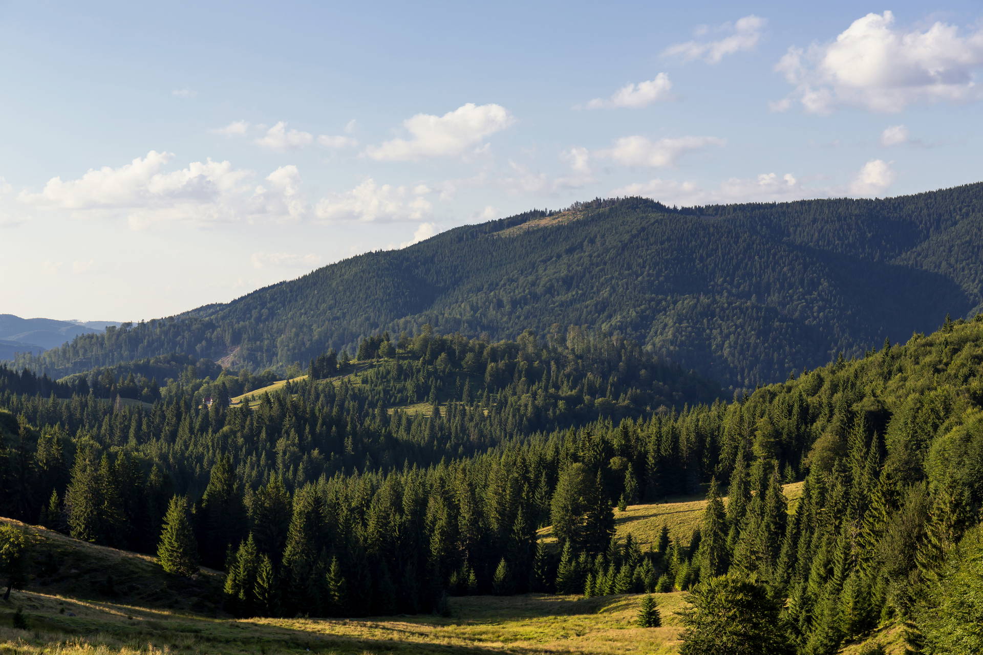 Zalesione wzgórza w górskim krajobrazie, w słoneczny dzień.