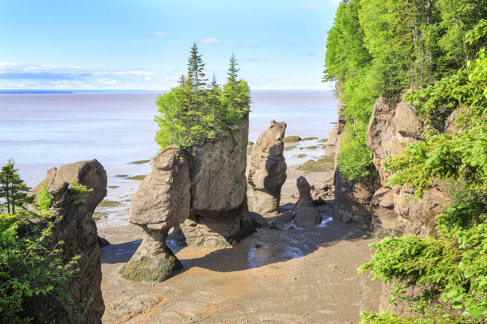 Hopewell Rocks w Nowej Szkocji, Kanada.