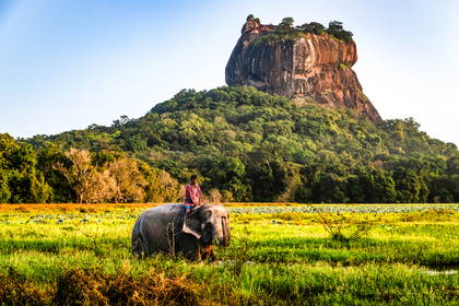 Mężczyzna jadący na słoniu, w tle skała Sigiriya na Sri Lance.