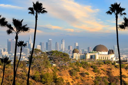 Obserwatorium Griffitha z panoramą Los Angeles i palmami.