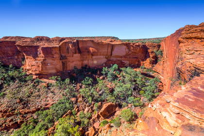 Kings Canyon w Parku Narodowym Watarrka w Australii. Czerwony kanion z roślinami.