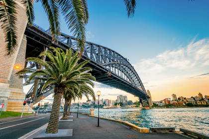 Most Harbour Bridge w Sydney z palmami na pierwszym planie i panoramą miasta w tle.