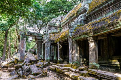 Ruiny świątyni Ta Prohm porośnięte mchem.