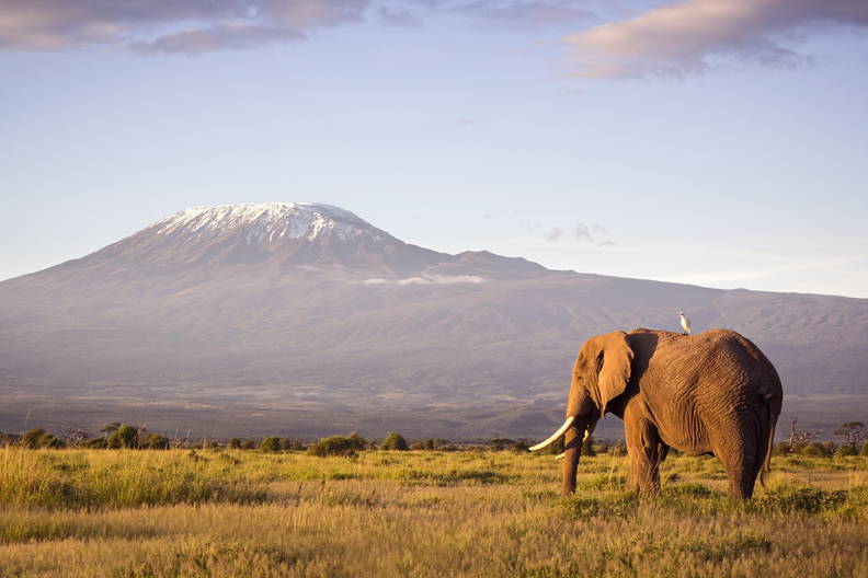 Kenia i Tanzania