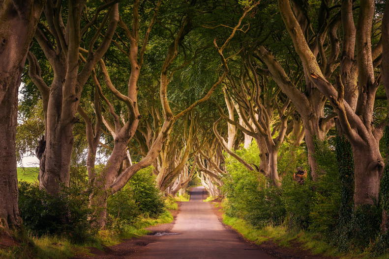 Irlandia i Irlandia Północna - legendy wykute w skałach