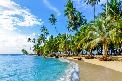 Tropikalna plaża z palmami i turkusową wodą.