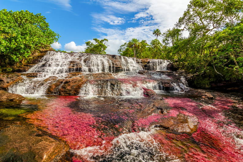 Kolorowa rzeka Caño Cristales z wodospadem.