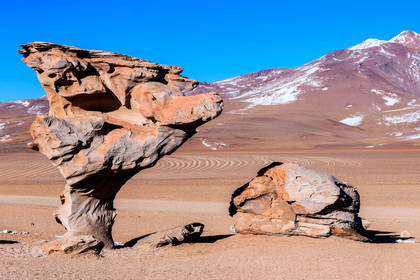 Arbol de Piedra, czyli Kamienne Drzewo – formacja skalna na pustyni w Boliwii.