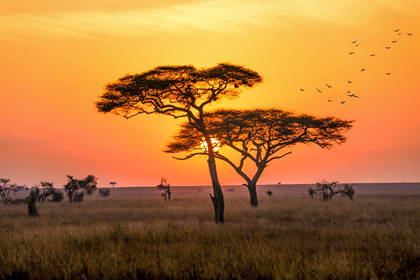 Uzuri Tanzania!