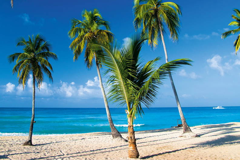 Rejs na Antyle - MSC Cruises