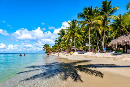 Tropikalna plaża z palmami i turkusową wodą.