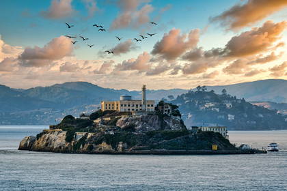 Alcatraz - wyspa z budynkiem więzienia, nad którą lecą ptaki.