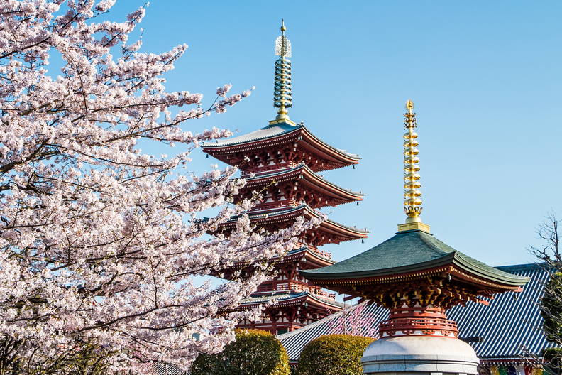 Japonia - w krainie gejsz i samurajów