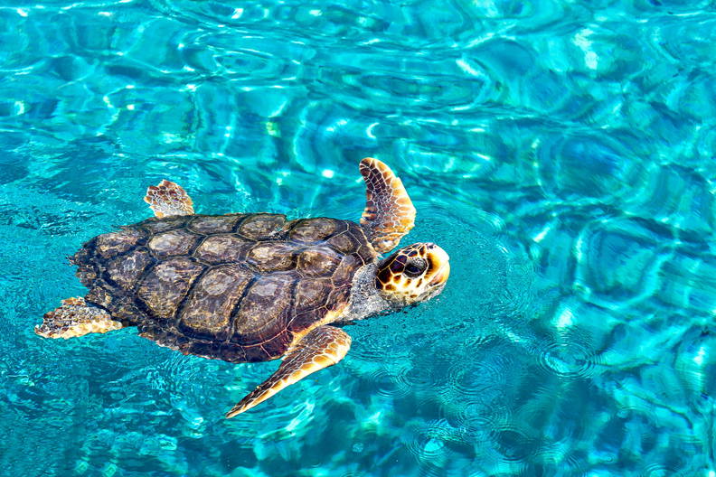 Zakynthos bez pośpiechu