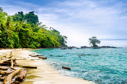 Tropikalna plaża z bujną zielenią i błękitnym oceanem.