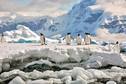 Na krańcu świata: Patagonia, Falklandy i Antarktyda (z Buenos do Ushuaia)