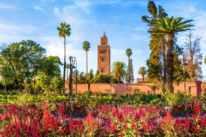 Minaret meczetu Kutubijja widoczny zza zieleni ogrodu w Marrakeszu.
