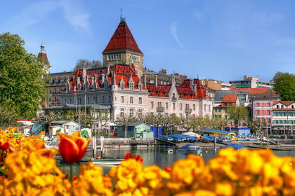 Jezioro Thun z budynkiem Schloss Schadau w tle, na pierwszym planie kwiaty.