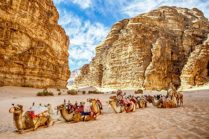 Wielbłądy odpoczywają na pustyni Wadi Rum.