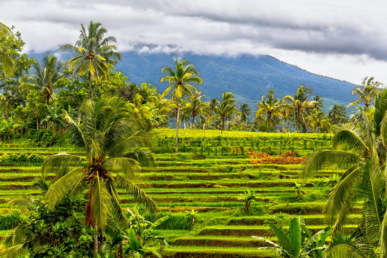 Lombok - Sundajska Widokówka