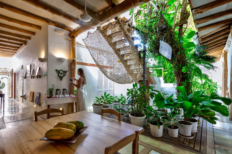 Wnętrze domu z roślinami, drewnianym stołem i wiszącą siatką do relaksu.