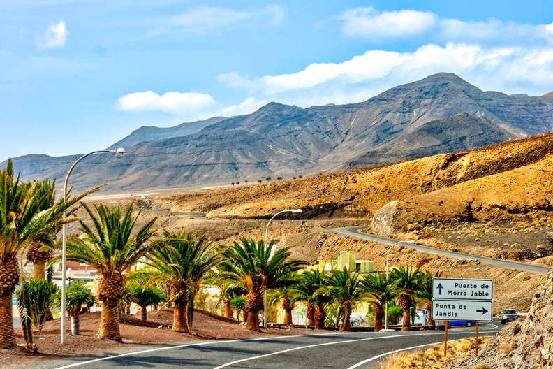 Palmy przy drodze na Fuerteventurze w słoneczny dzień.