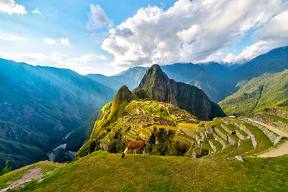 Machu Picchu z lamą na pierwszym planie.
