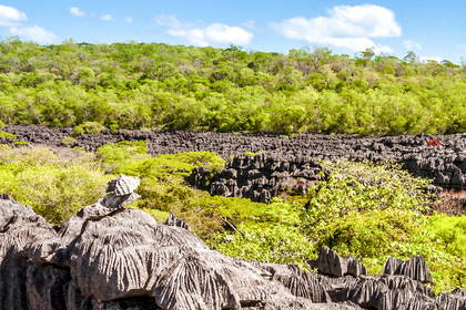 Krajobraz wapiennych iglic Tsingy de Bemaraha na Madagaskarze.