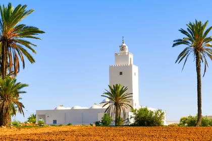Biały meczet z minaretem pośród palm w Tunezji, a na pierwszym planie brązowe, zaorane pole.