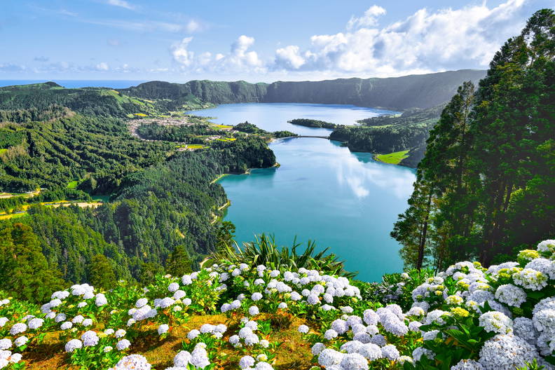 Panoramiczny widok na jeziora Sete Cidades na Azorach, z kwitnącymi na pierwszym planie białymi hortensjami.